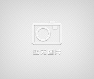 YGDM-CN 在線監(jiān)測系統(tǒng)